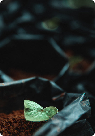 about-sustainability-tile